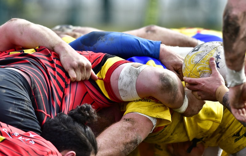 Patru meciuri în luna noiembrie pentru naționalele de rugby: trei pentru România și unul pentru România A