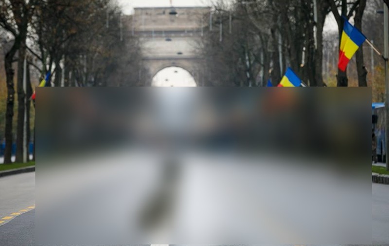 Maidanezul de la parada militară de Ziua Națională