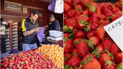 Cât costă un kilogram de căpșuni în Piața Amzei din București vs Obor. Diferența dintre ele este de peste două ori mai mare