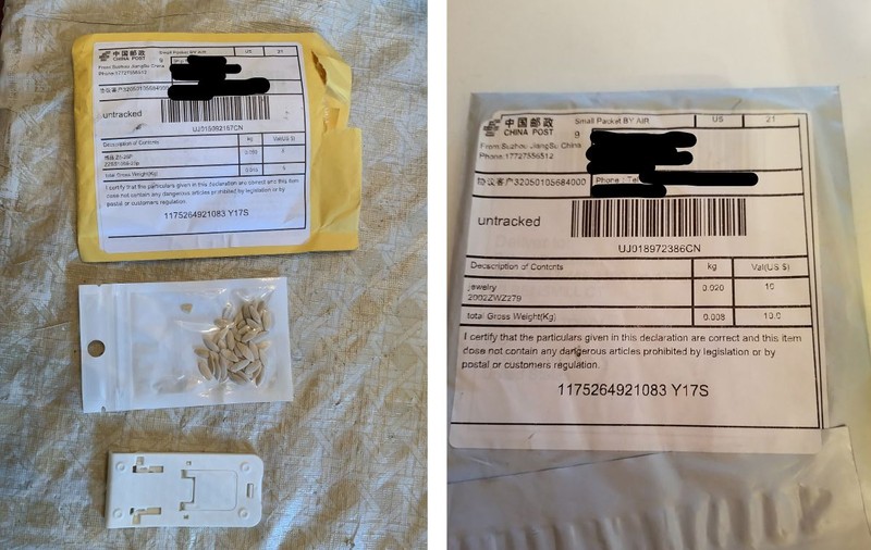 Misterul coletelor din China. De ce sute de americani au primit prin poștă pliculețe cu semințe necunoscute și nesolicitate