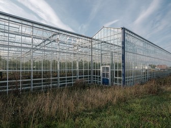 Seră, ferma Höfler Gemüse, Nürnberg, Germania