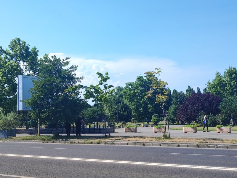 Arhiva foto