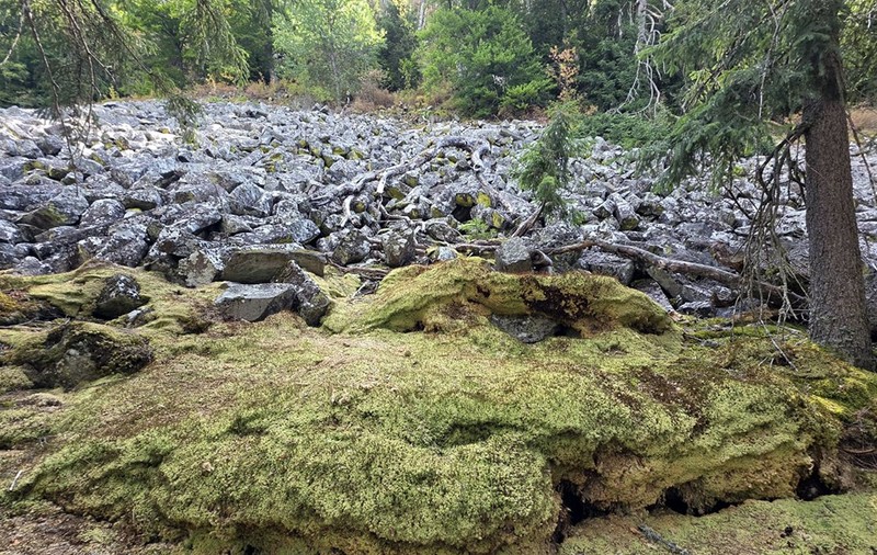 Permafrost Apuseni