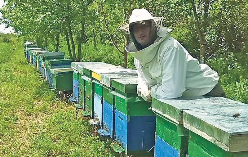 Se scumpeşte MIEREA naturală
