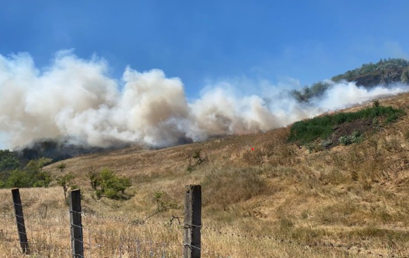 O femeie a fost găsită moartă pe un teren din Iași cuprins de un incendiu de vegetație