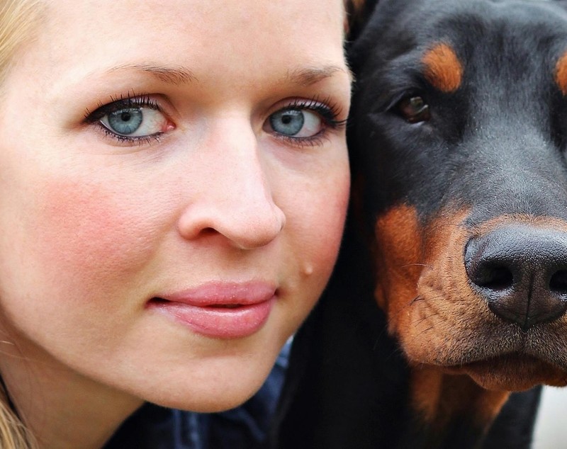 Doberman - caracteristici și temperament. Cum se dresează un animal de companie