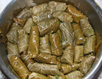 Arhiva foto