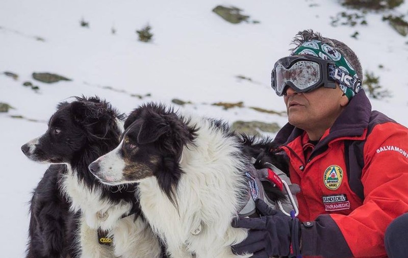 A treia zi de căutare a turistului dispărut în Bucegi. Dara și Helios, câinii cu brevet pentru intervenții în avalanșă, participă la acțiune