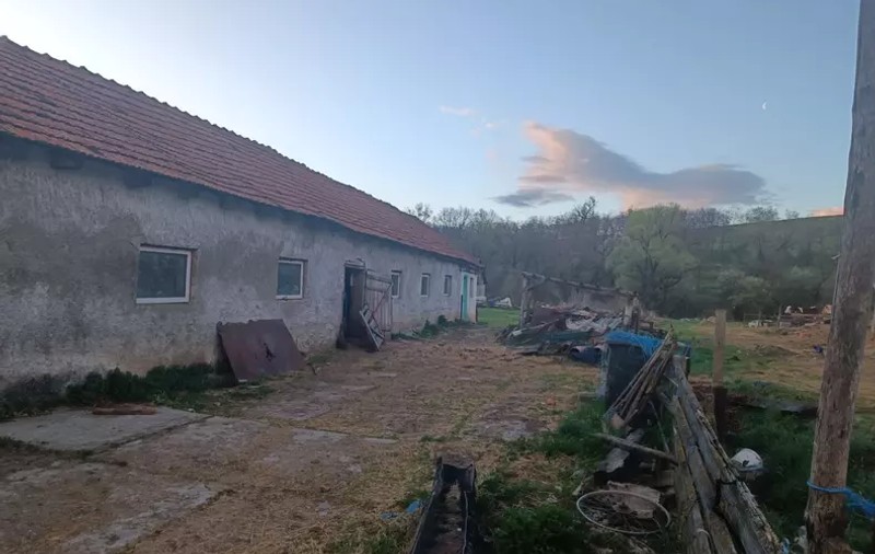 Viceprimarul care a ținut într-o cușcă un copil de 12 ani și l-a obligat să muncească la stâna lui din județul Brașov, cercetat sub control judiciar