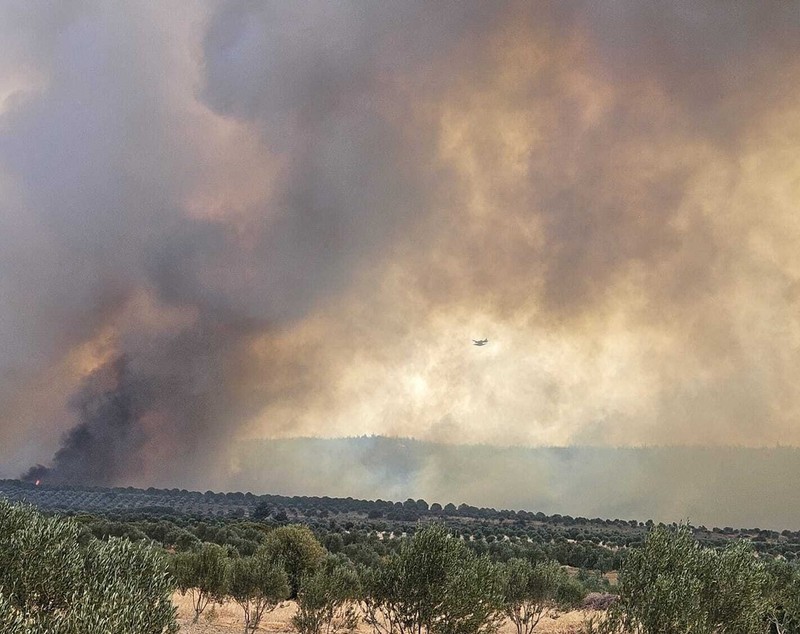 Incendiu puternic și secetă în Turcia. Sute de persoane, evacuate de urgență din provincia Canakkale