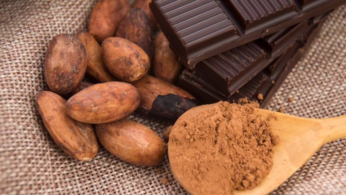 În imagine sunt ilustrate boabe de cacao, o ciocolată neagră și o lingură pe care este cacao măcinat