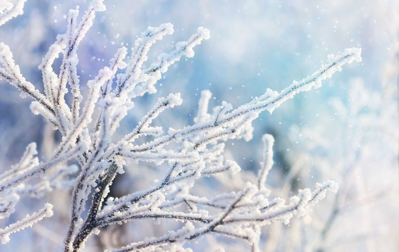 Prognoza meteo în perioada 10-23 decembrie. Vremea va fi mai caldă decât în mod obişnuit