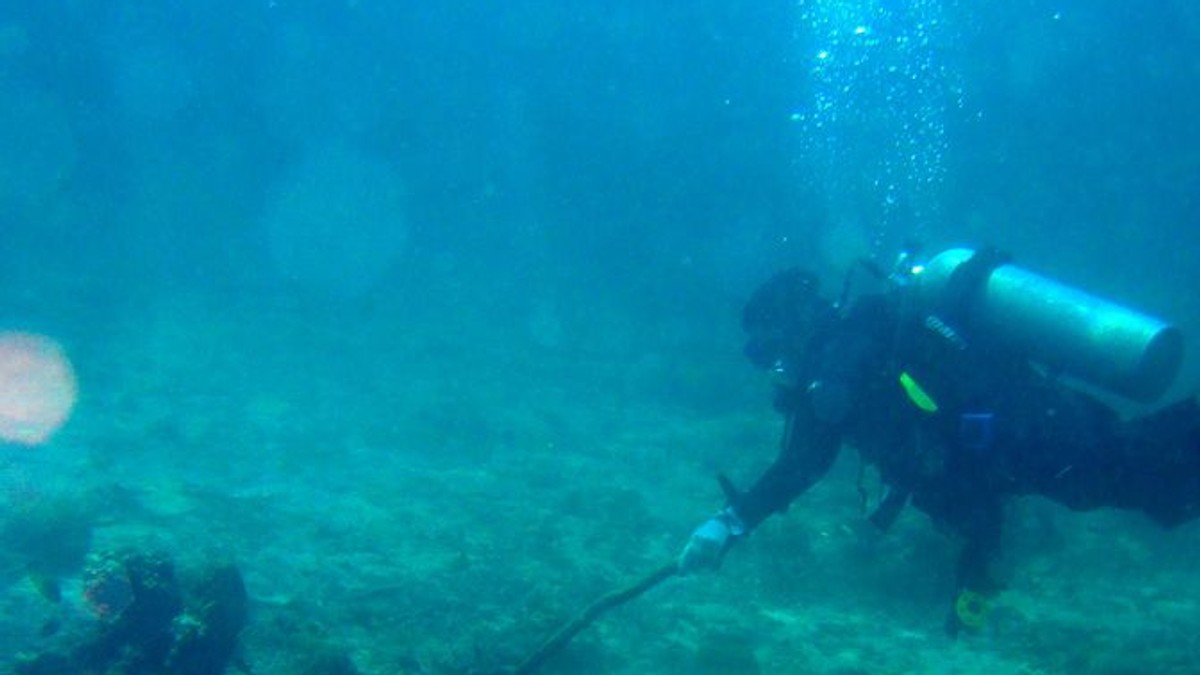 Arhiva foto