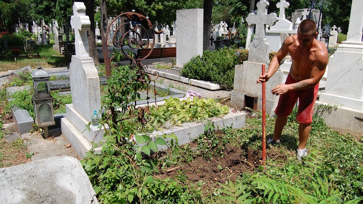 Arhiva foto