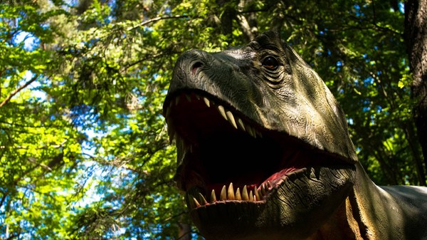 ''Pădurea Magică a Dinozaurilor", expoziţie educativă la Dino Parc Râşnov. Dinozaur din Dino Parc Rășnov