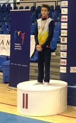 Nicholas Țârcă, pe podium la CN de gimnastică ale României FOTO: Sports Net