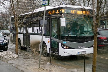 Autobuz STV Voluntari - Pipera / Eli Driu