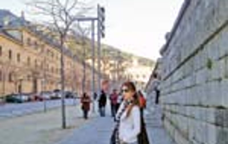 Annes a ramas fara portofel la Madrid