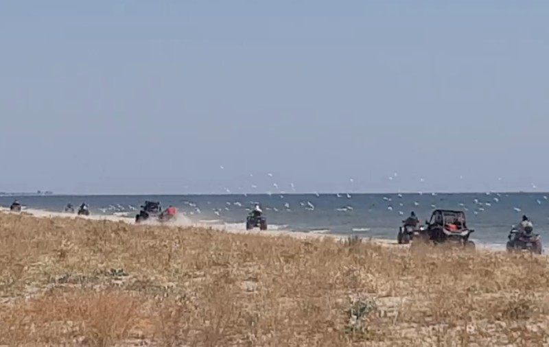 VIDEO | Cu ATV-urile într-o zonă protejată de lege. Turiștii care s-au distrat astfel riscă amenzi foarte mari, dacă sunt identificați