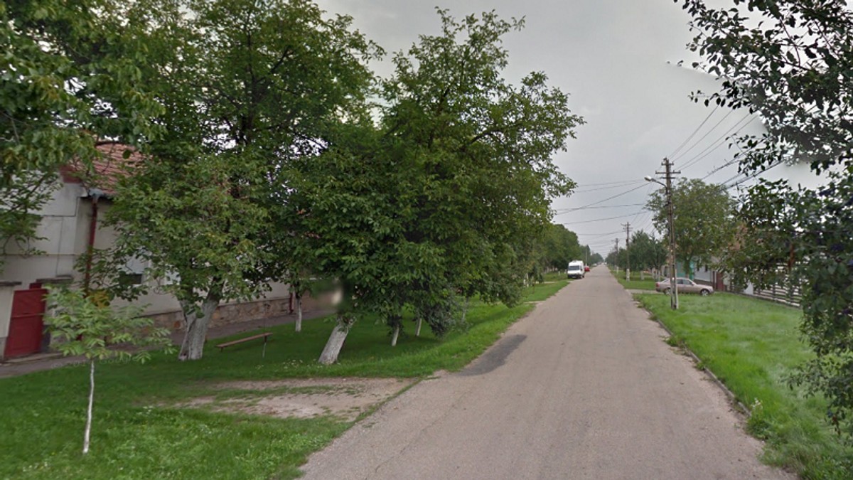 Case de vânzare în Arad