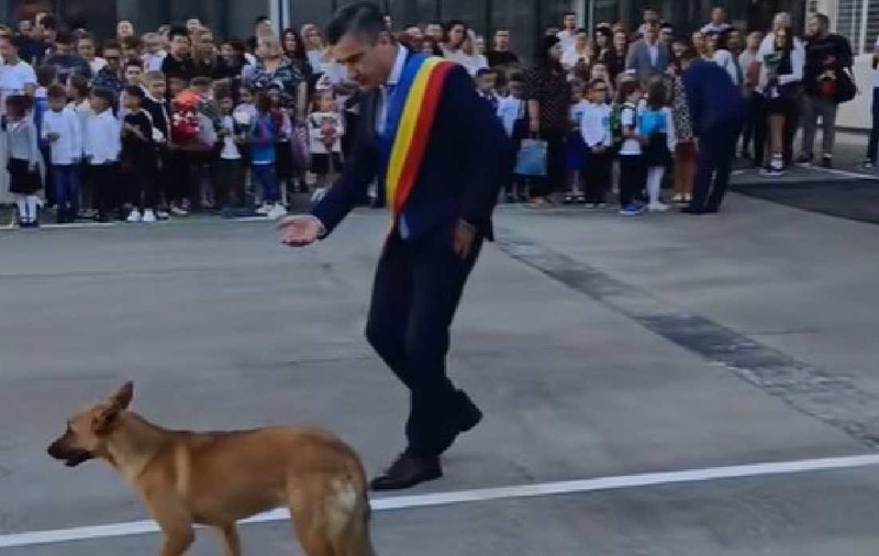 Un câine i-a furat momentul de celebritate lui Mihai Chirica, primarul din Iași, la începutul anului școlar
