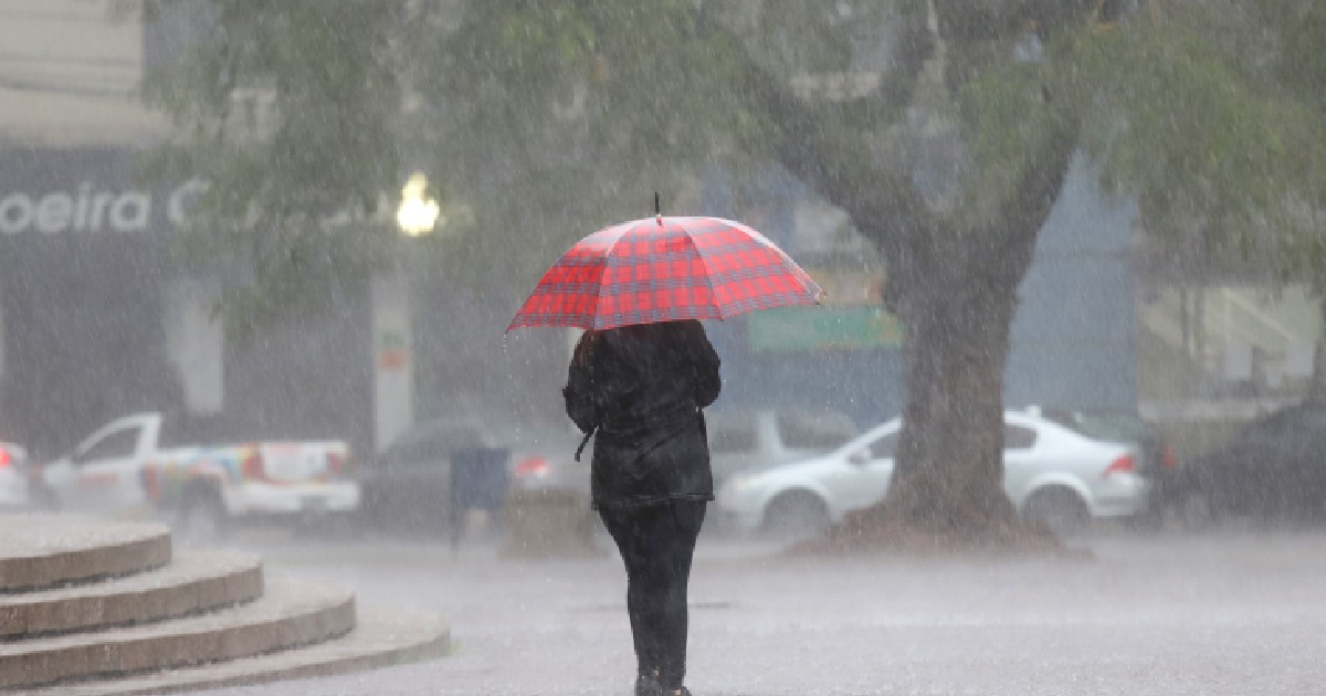 Imaginea surprinde o persoană văzută din spate care merge pe o stradă în timpul unei ploi torențiale, protejându-se cu o umbrelă în carouri roșii.