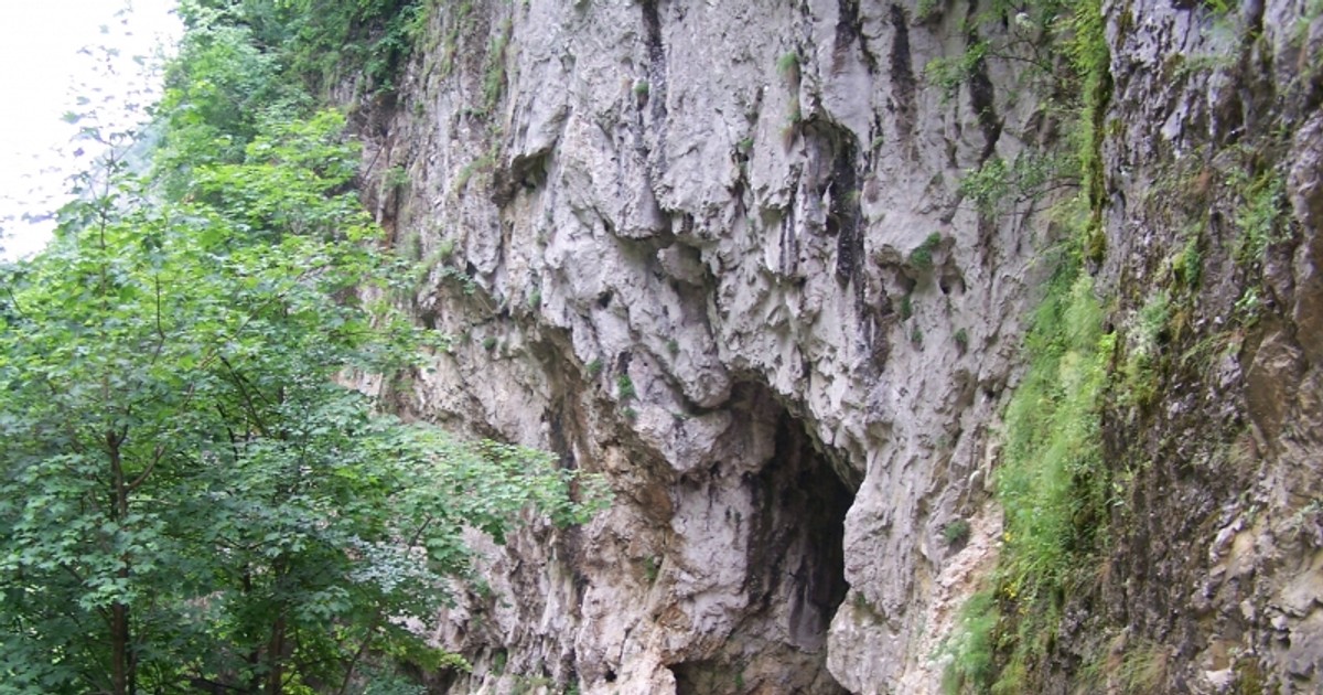 Arhiva foto