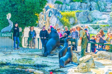 Grădina Zoologică de la Schloss Schonbrunn