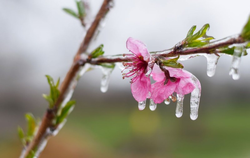 Cea mai rece zi de vară din august 2025. Zonele din România cu temperaturi sub limita înghețului