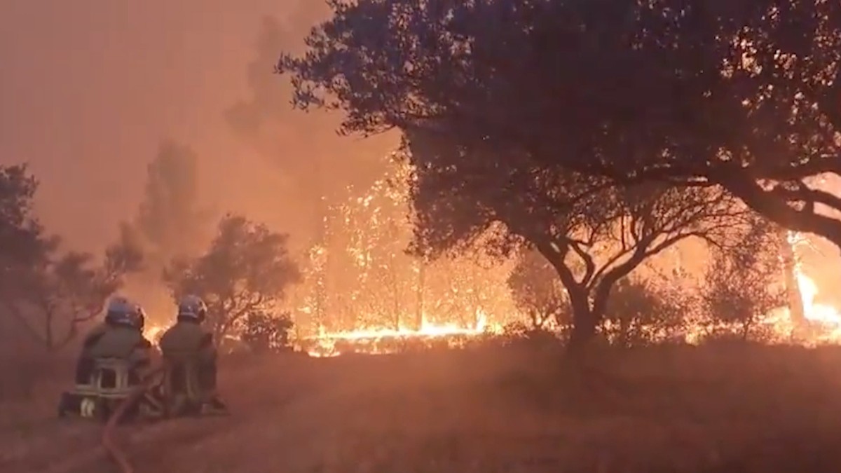 Pompieri români în timpul unei misiuni de stingere a unui incendiu de pădure