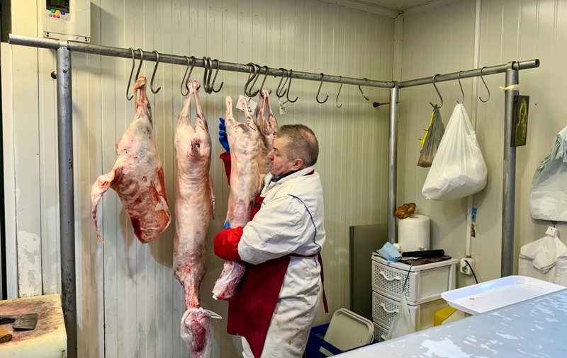Românii vor da cu cel puțin 7 lei mai mult pe kilogramul de carne de miel în 2026, avertizează șeful DSVSA Bistrița-Năsăud: „Prețul pentru cumpărător este mare”
