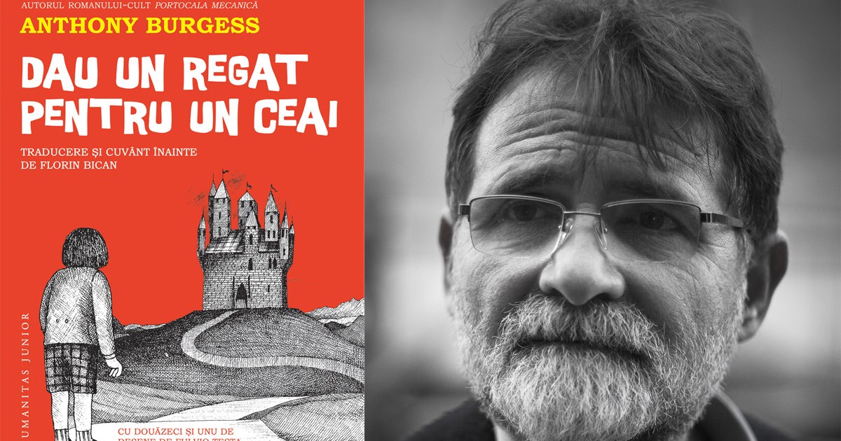 Colaj din coperta cărții Dau un regat pentru un ceai și portretul autorului, Florin Bican.