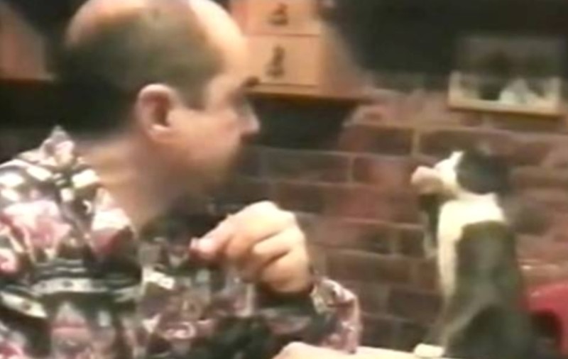 Un bărbat şi o pisică "vorbesc" aceeaşi limbă! Uite CUM CERE MÂŢA DE MÂNCARE | VIDEO