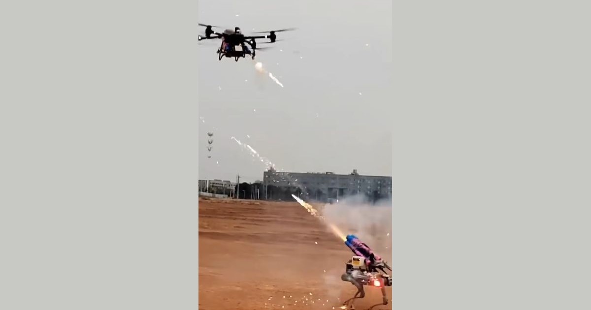 O dornă și un câine robot se luptă cu artificii pe un câmp din China.