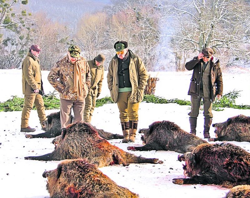 GALERIE FOTO / Feriţi-vă din calea lor, fiindcă fac prăpăd! ^Topul puşcaşilor de elită din sportul românesc
