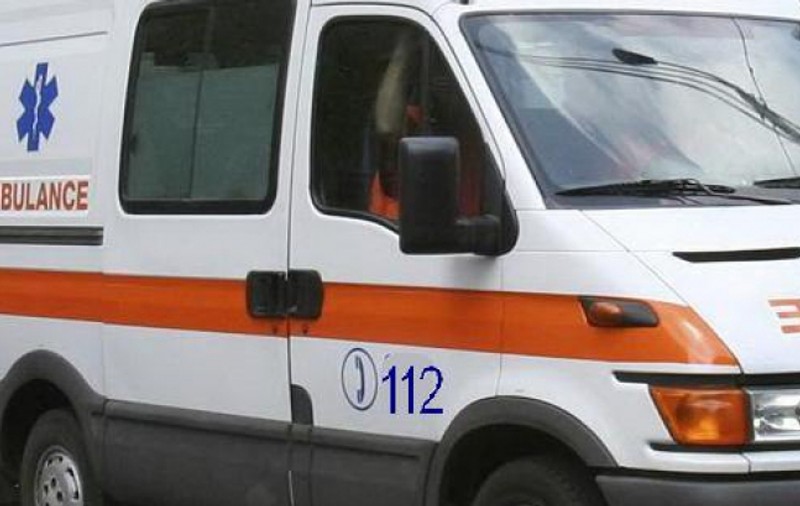 Tragedie în Arad. A murit după ce a fost înțepat de viespi uriașe