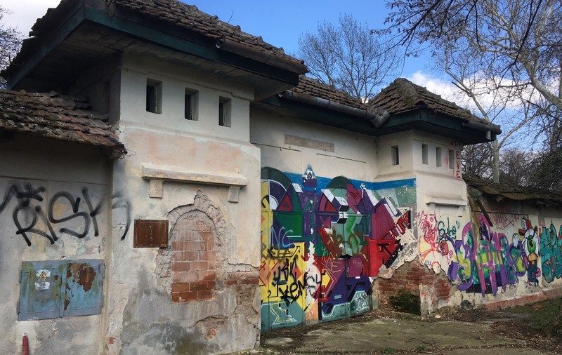 FOTO/ Cel mai important centru de natație al Timișoarei a murit din nepăsare. Ajunsă o ruină, fosta bază sportivă Uszoda este un focar de infecție