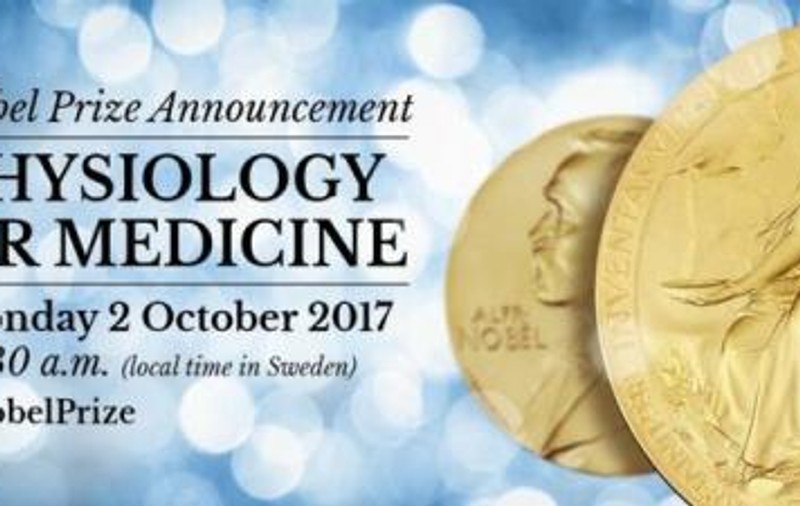 Premiile Nobel 2017. Laureații vor fi anunțați începând de luni, 2 octombrie, dar Premiul pentru pace suscită cele mai mari așteptări și cele mai multe controverse