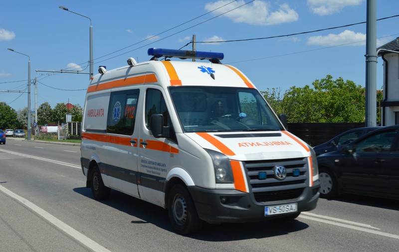 18 copii și o educatoare de la o grădiniță din Bârlad, duși la spital după ce au fost atacați de albine 