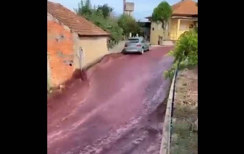 Străzile unui sat din Portugalia, inundate de un "torent" de vin roșu. VIDEO