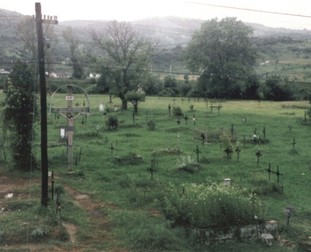 Arhiva foto