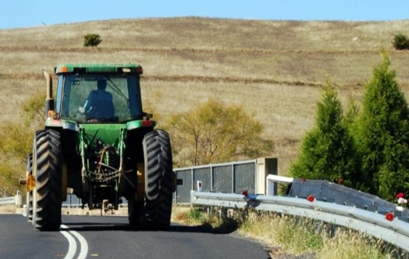 Migranți care dormeau într-un lan de rapiță, în Timiș, răniți de un tractor
