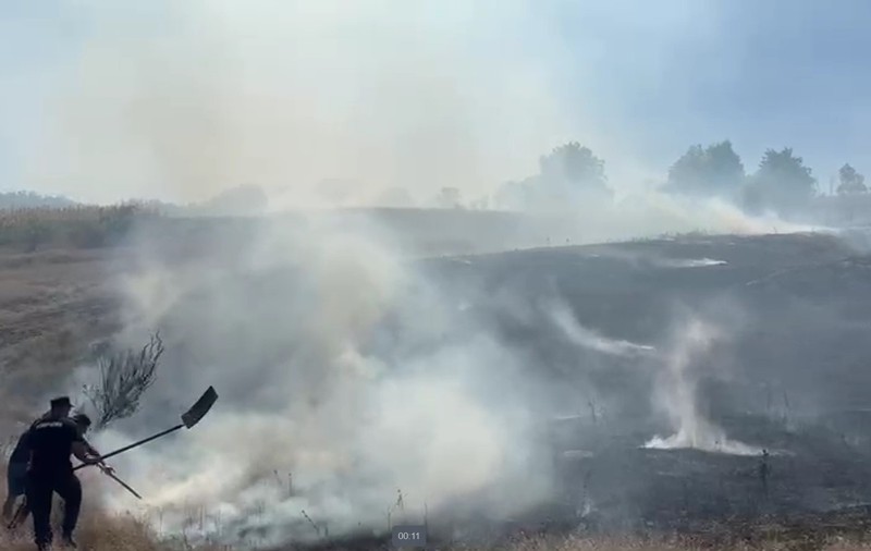 Intervenţie dificilă pentru stingerea unor incendii de vegetație care s-au extins pe 50 de hectare, în Vaslui