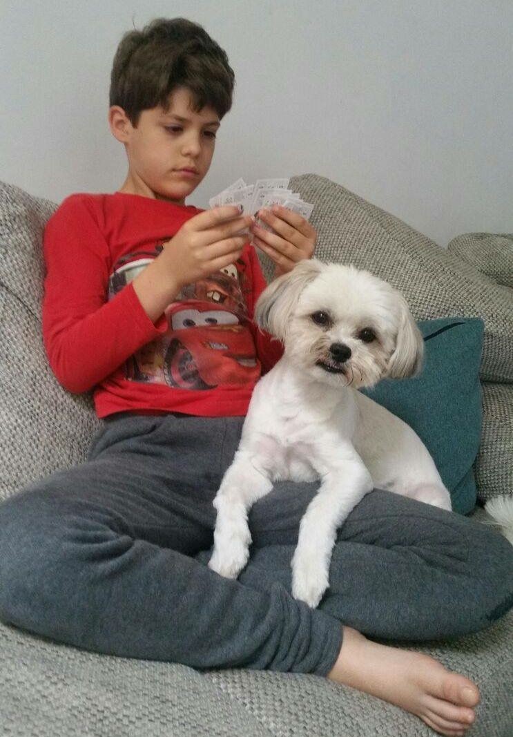 Arhiva foto
