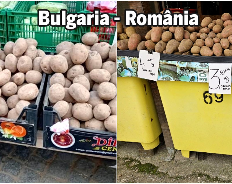 Experiment Libertatea. Preţurile la alimente în Bulgaria faţă de România: şi castraveţii aduşi din Grecia sunt mai scumpi la vecini