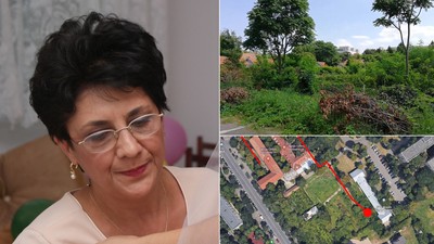 colaj victoria trandafirescu