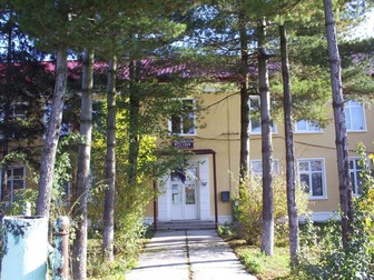 Școala Nicu Enea nu are abandon școlar și toți elevii promovează Evaluarea Națională