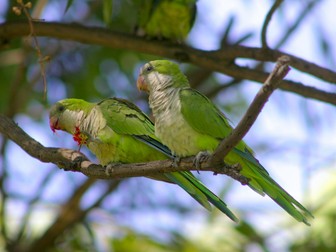 Arhiva foto