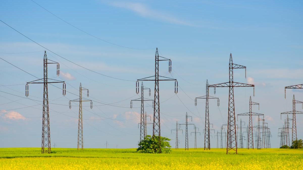 Rețele electrice, stalpi energie, camp de rapiță