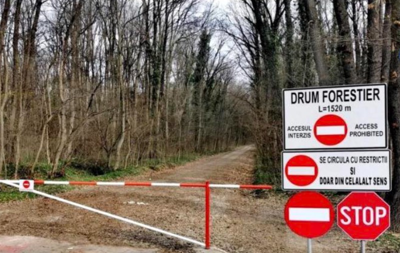 Romsilva a închis oficial drumul prin Pădurea Băneasa. Lovitură pentru locuitorii din Greenfield: accesul auto, din nou interzis pe calea forestieră